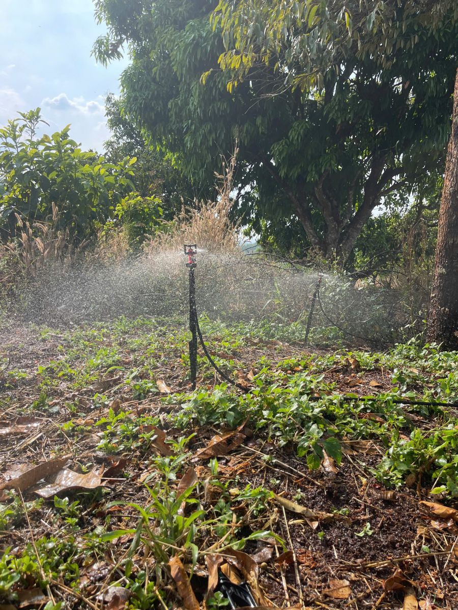 bec tuoi vp8 tuoi deu dep